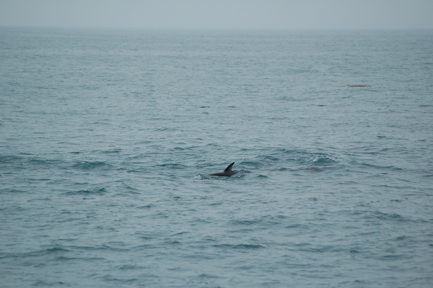 177   30 01   Kaikoura